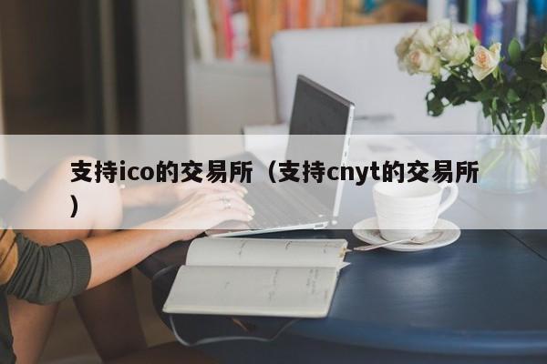 支持ico的交易所(支持cnyt的交易所)